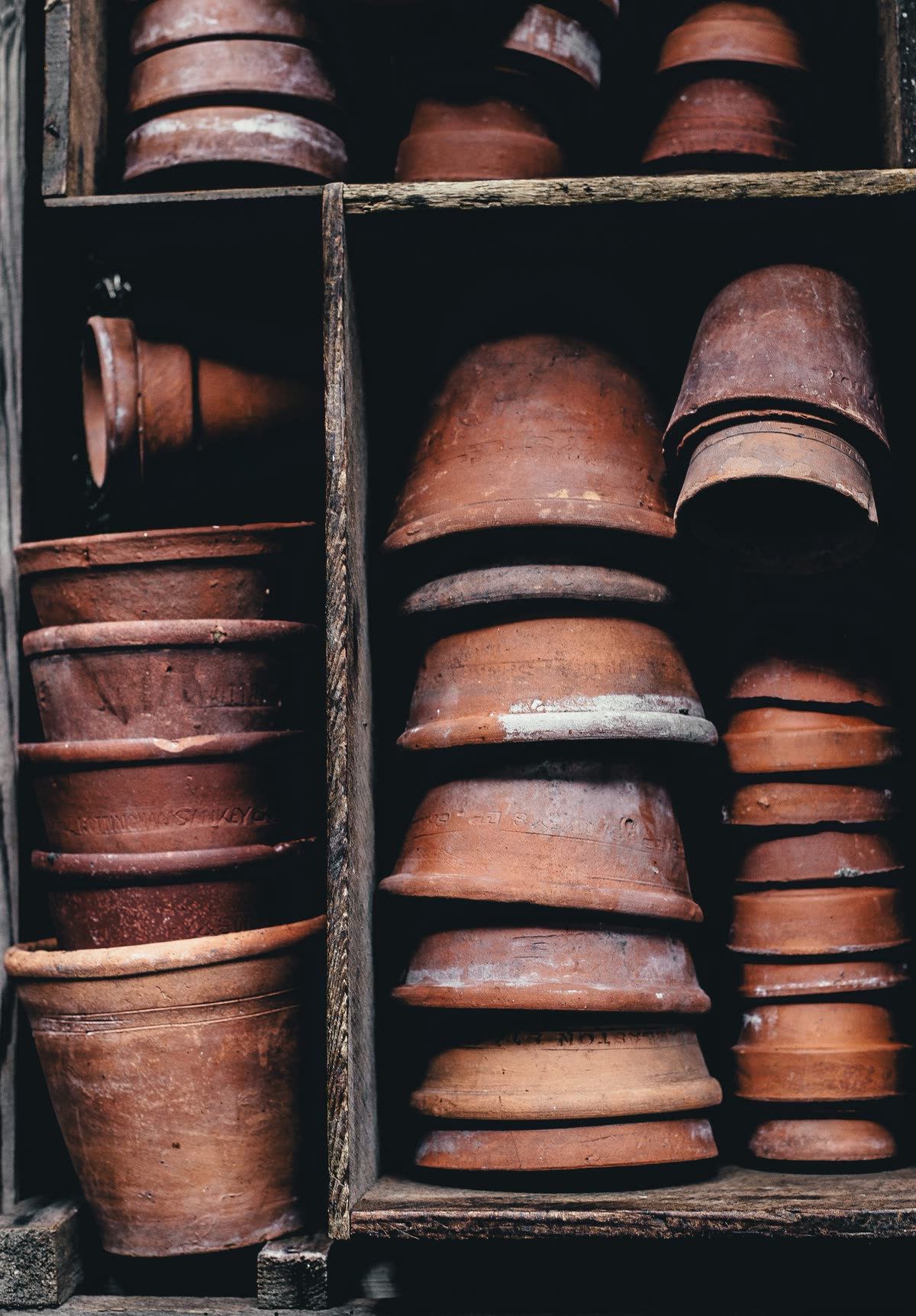 Shelves of terracotta pots