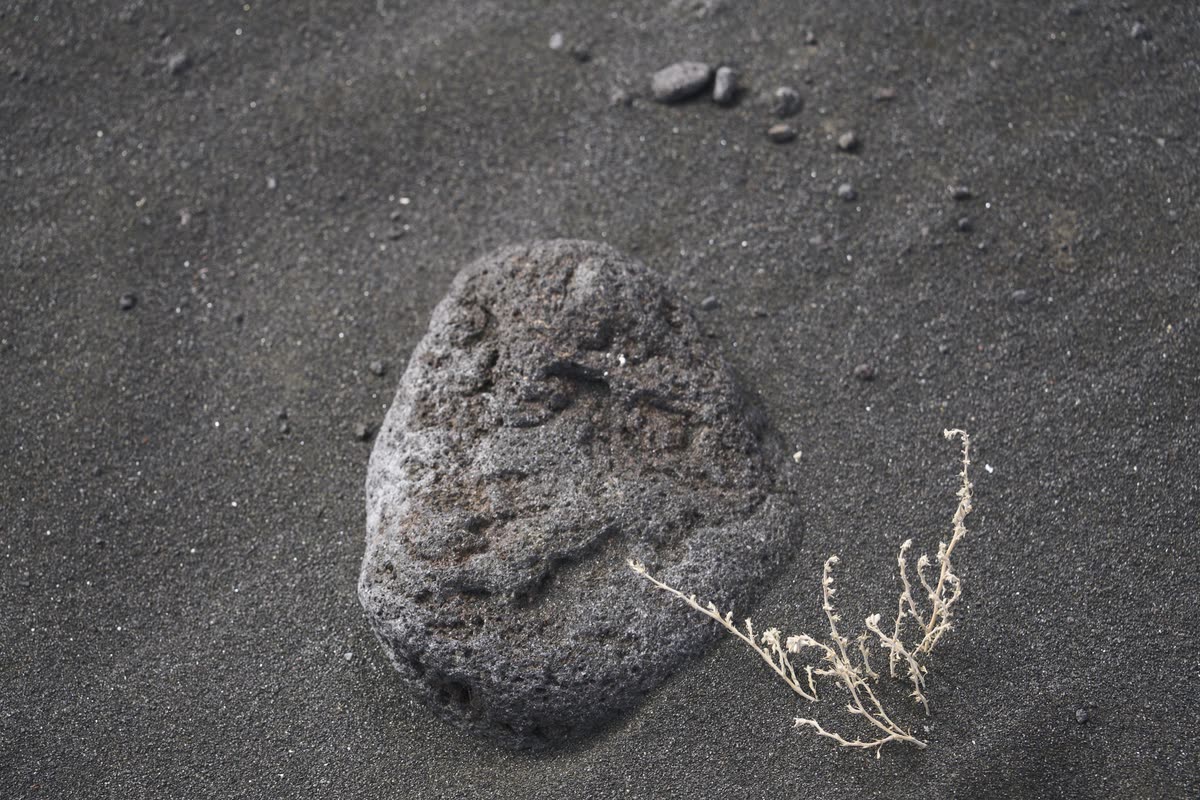 Porous volcanic rock on black sand