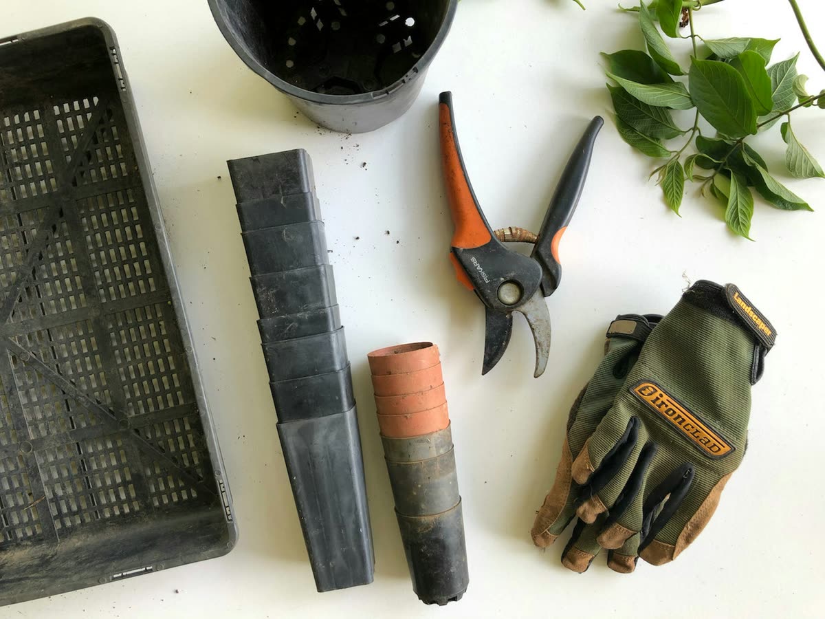 Pruners and work gloves