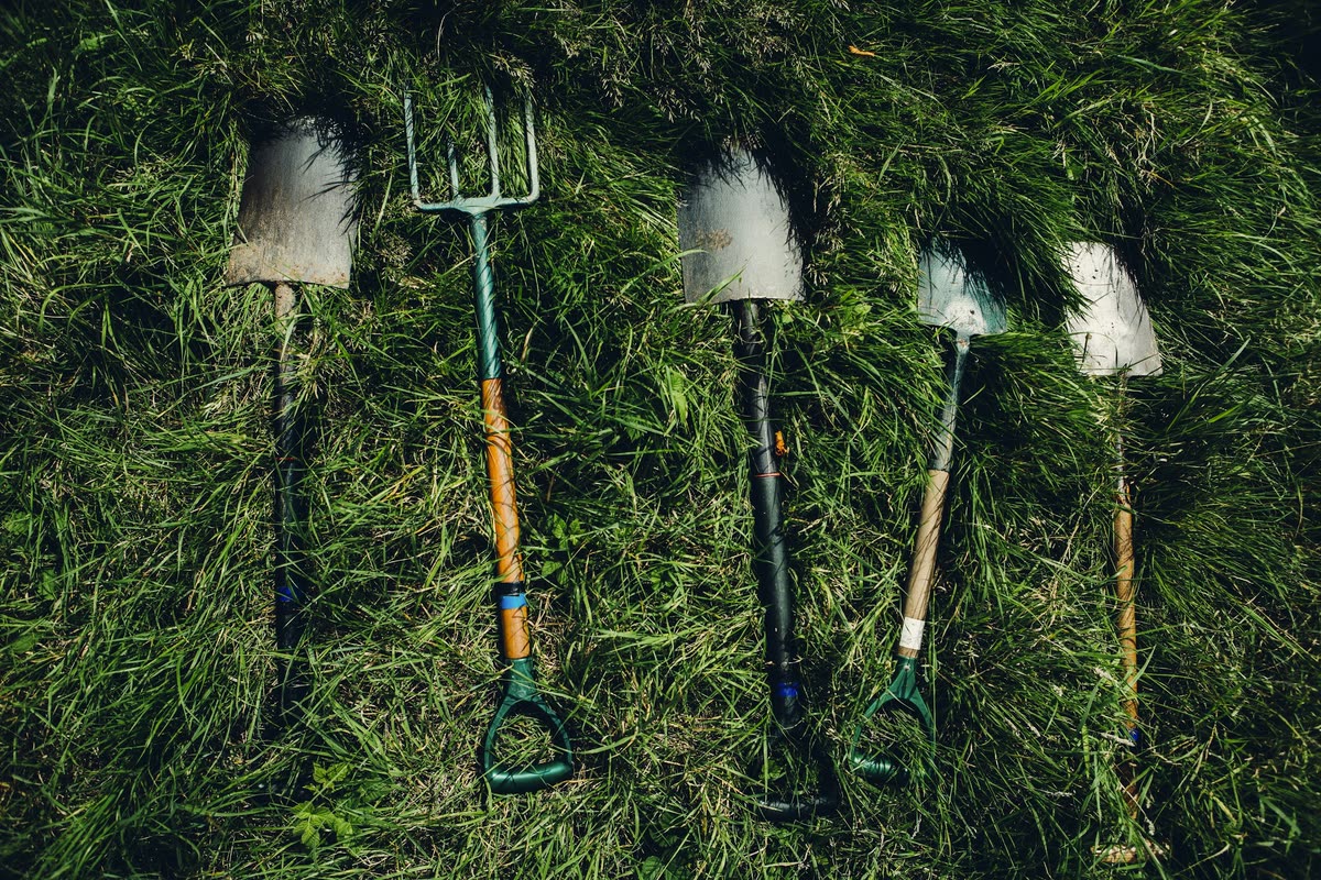 Shovels lined up on grass