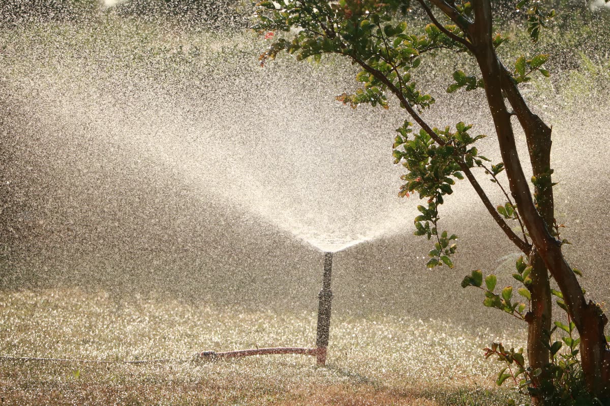 Pop-up spray head watering a planted bed